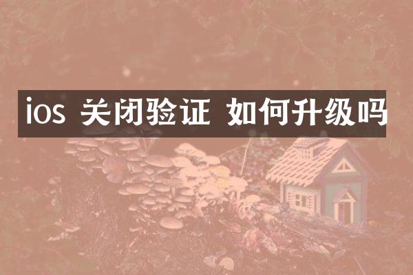 ios 关闭验证 如何升级吗