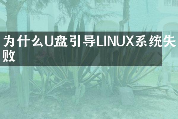 为什么U盘引导LINUX系统失败