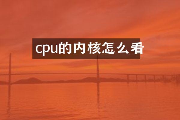 cpu的内核怎么看