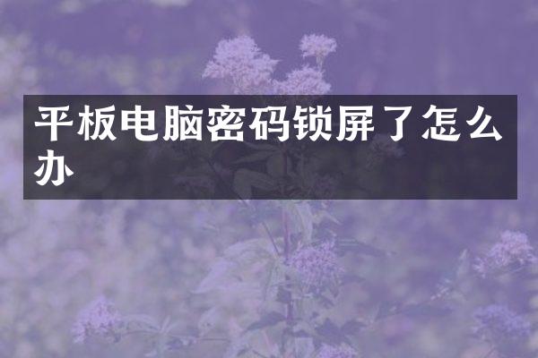 平板电脑密码锁屏了怎么办