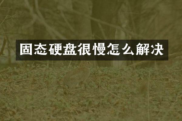 固态硬盘很慢怎么解决