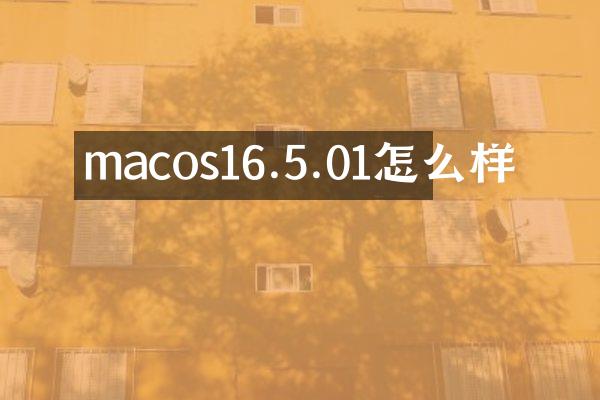 macos16.5.01怎么样