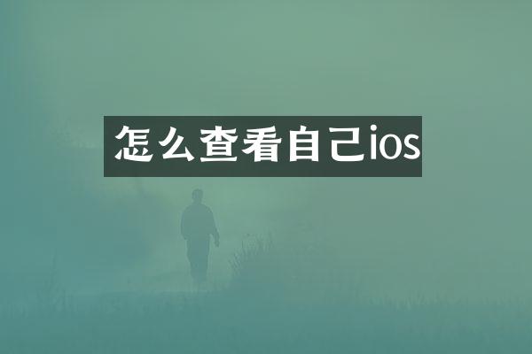 怎么查看自己ios