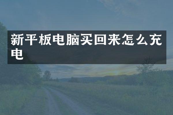 新平板电脑买回来怎么充电
