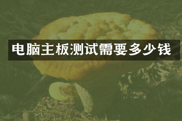 电脑主板测试需要多少钱