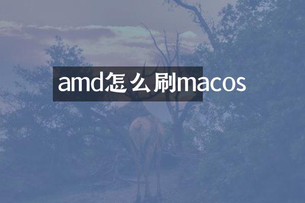 amd怎么刷macos