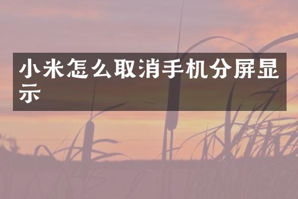 小米怎么取消手机分屏显示