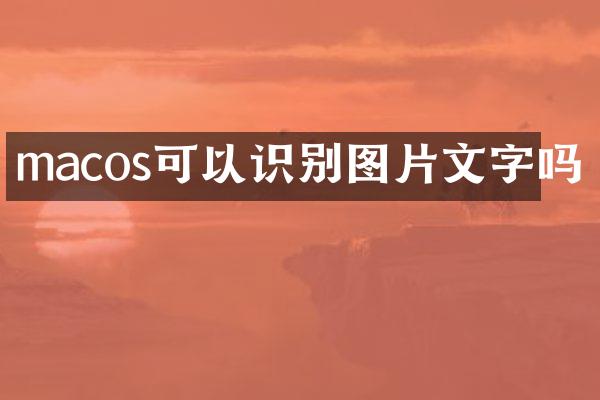 macos可以识别图片文字吗