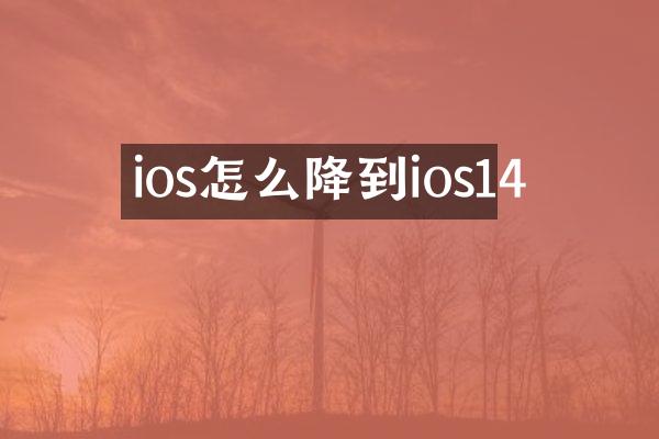 ios怎么降到ios14
