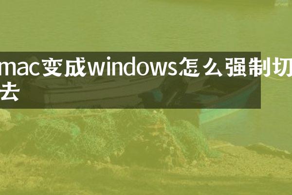 mac变成windows怎么强制切回去