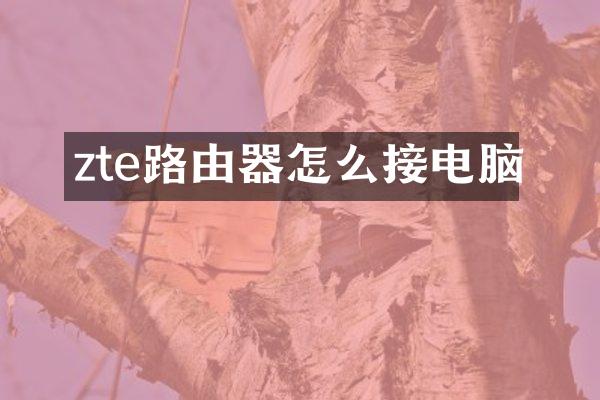 zte路由器怎么接电脑