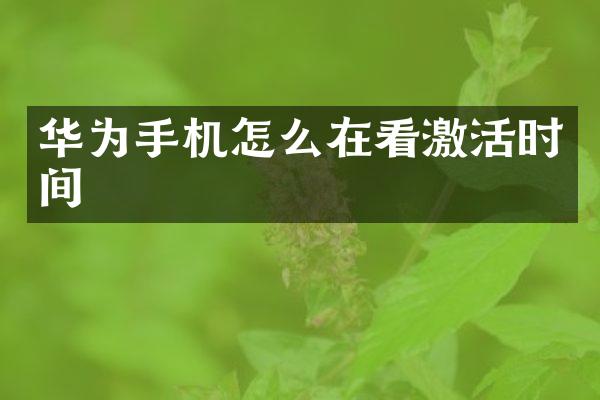 华为手机怎么在看激活时间