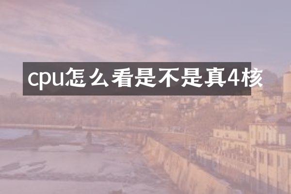 cpu怎么看是不是真4核