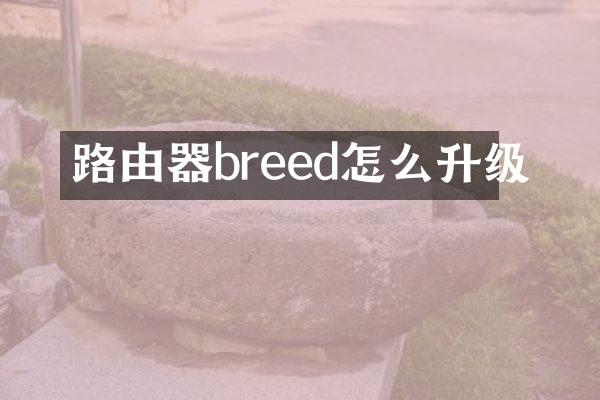 路由器breed怎么升级