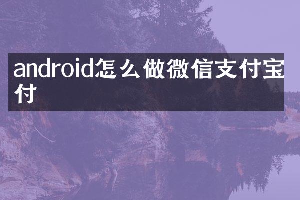 android怎么做微信支付宝支付