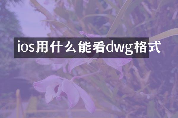 ios用什么能看dwg格式