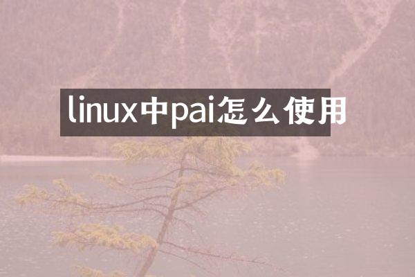 linux中pai怎么使用
