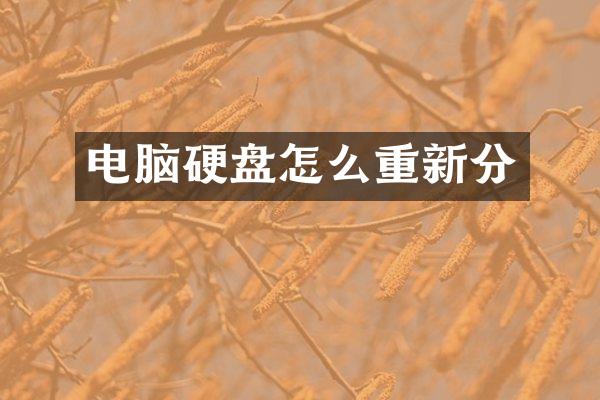 电脑硬盘怎么重新分