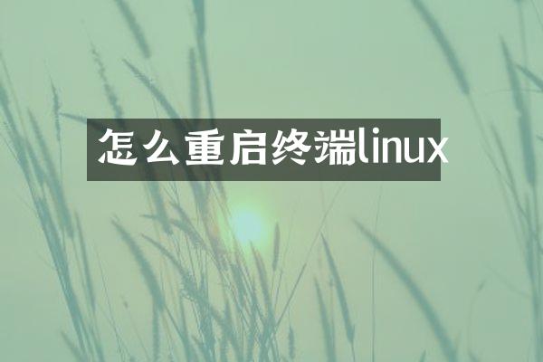 怎么重启终端linux