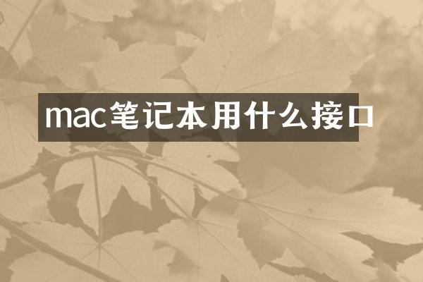 mac笔记本用什么接口