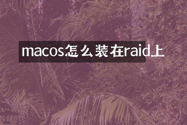 macos怎么装在raid上