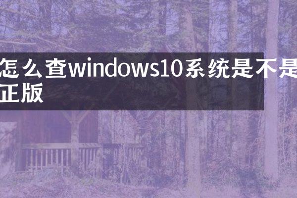 怎么查windows10系统是不是正版