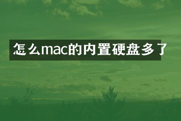 怎么mac的内置硬盘多了