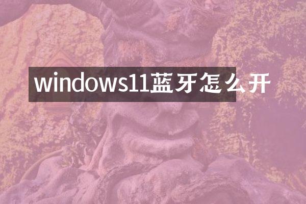 windows11蓝牙怎么开