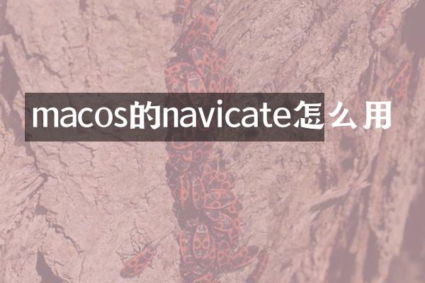 macos的navicate怎么用
