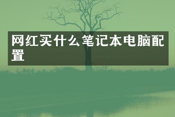网红买什么笔记本电脑配置