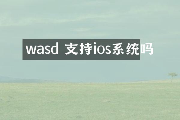 wasd 支持ios系统吗