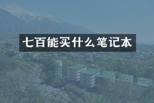 七百能买什么笔记本