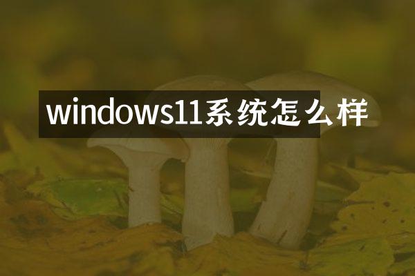 windows11系统怎么样