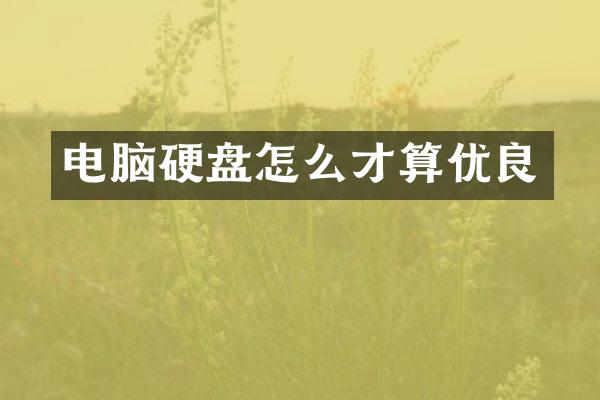 电脑硬盘怎么才算优良