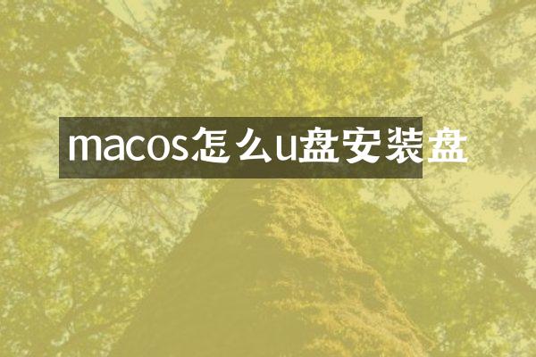macos怎么u盘安装盘