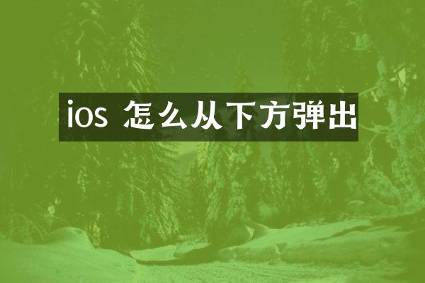 ios 怎么从下方弹出
