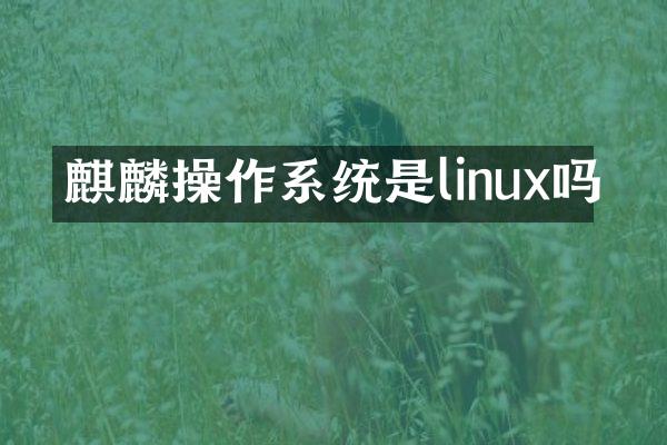 麒麟操作系统是linux吗