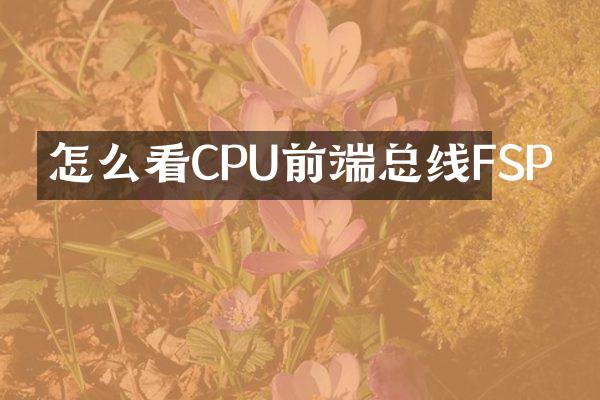 怎么看CPU前端总线FSP