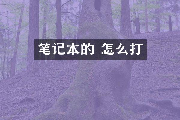 笔记本的 怎么打