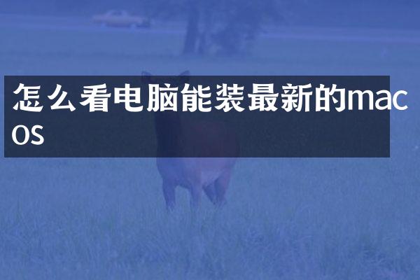 怎么看电脑能装最新的macos