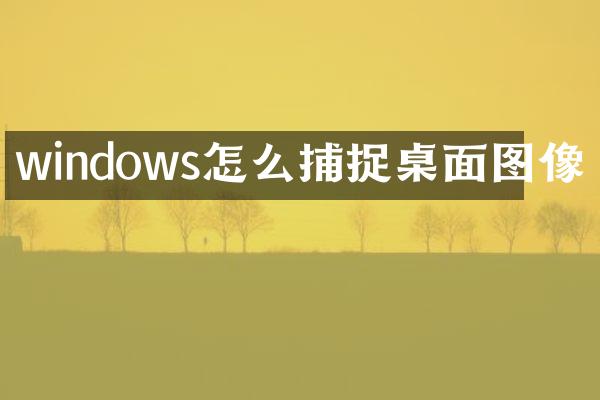 windows怎么捕捉桌面图像