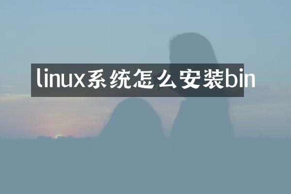 linux系统怎么安装bin