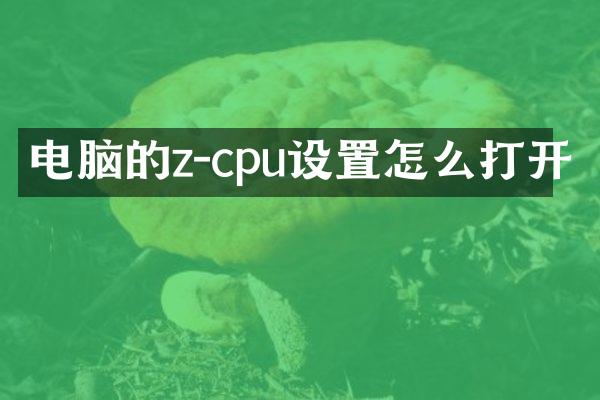 电脑的z-cpu设置怎么打开