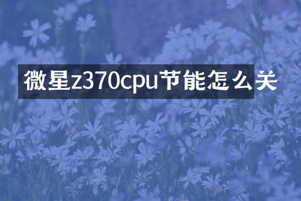 微星z370cpu节能怎么关
