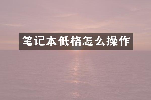 笔记本低格怎么操作