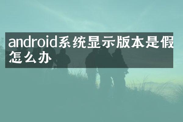 android系统显示版本是假的怎么办