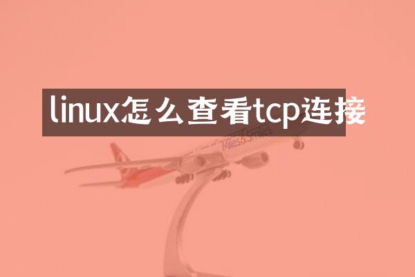 linux怎么查看tcp连接