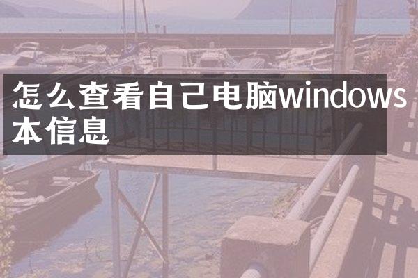 怎么查看自己电脑windows版本信息