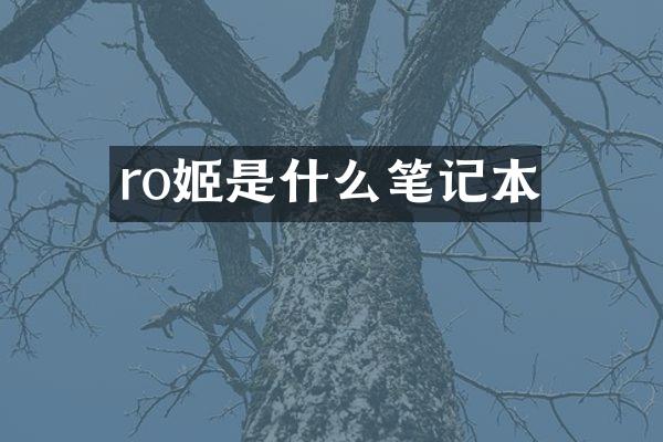 ro姬是什么笔记本