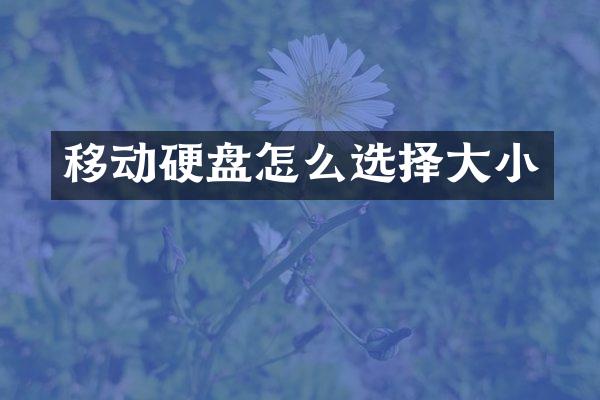 移动硬盘怎么选择大小